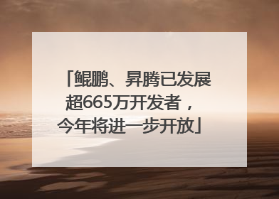 鲲鹏、昇腾已发展超665万开发者，今年将进一步开放