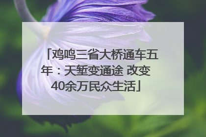 鸡鸣三省大桥通车五年：天堑变通途 改变40余万民众生活