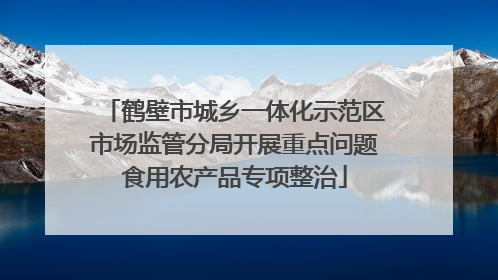鹤壁市城乡一体化示范区市场监管分局开展重点问题食用农产品专项整治