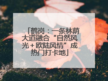 鹤岗：一条林荫大道融合“自然风光＋欧陆风情”成热门打卡地