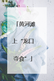 黄河滩上“龙口夺食”