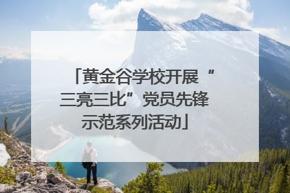 黄金谷学校开展“三亮三比”党员先锋示范系列活动