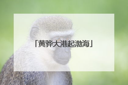 黄骅大港起渤海