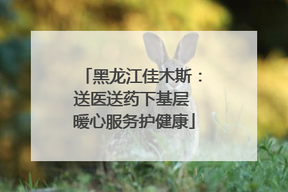 黑龙江佳木斯：送医送药下基层 暖心服务护健康