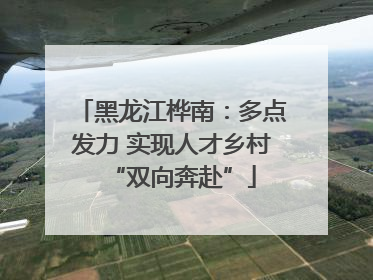 黑龙江桦南：多点发力 实现人才乡村“双向奔赴”