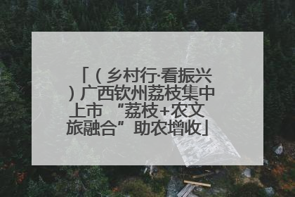 （乡村行·看振兴）广西钦州荔枝集中上市 “荔枝+农文旅融合”助农增收