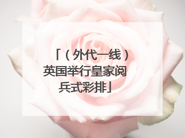 （外代一线）英国举行皇家阅兵式彩排