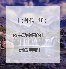 （外代二线）欧宝动物园的非洲象宝宝