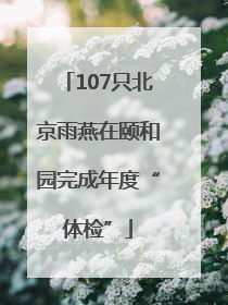 107只北京雨燕在颐和园完成年度“体检”