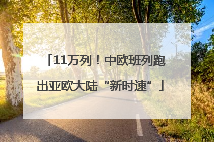 11万列！中欧班列跑出亚欧大陆“新时速”