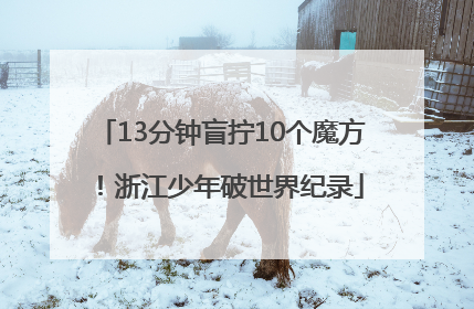 13分钟盲拧10个魔方！浙江少年破世界纪录