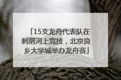 15支龙舟代表队在刺猬河上竞技，北京良乡大学城举办龙舟赛