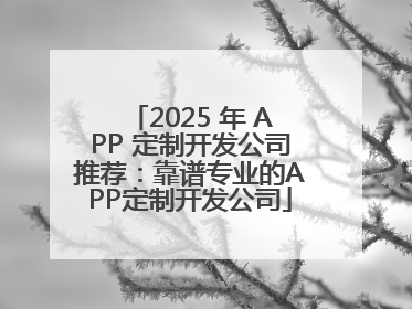 2025 年 APP 定制开发公司推荐：靠谱专业的APP定制开发公司