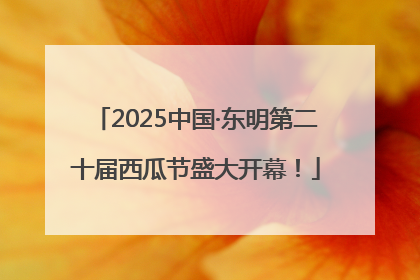 2025中国·东明第二十届西瓜节盛大开幕！