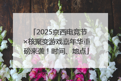 2025京西电竞节×核聚变游戏嘉年华重磅来袭！时间、地点