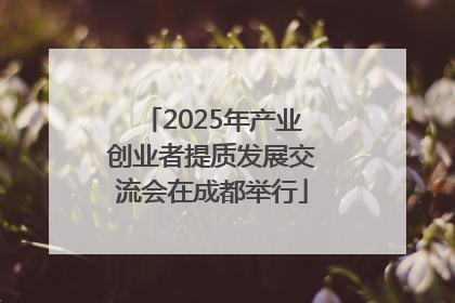 2025年产业创业者提质发展交流会在成都举行