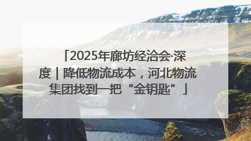 2025年廊坊经洽会·深度｜降低物流成本，河北物流集团找到一把“金钥匙”
