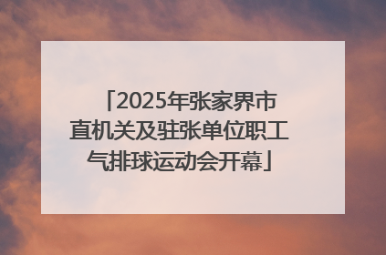 2025年张家界市直机关及驻张单位职工气排球运动会开幕