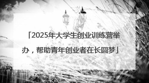 2025年大学生创业训练营举办，帮助青年创业者在长圆梦