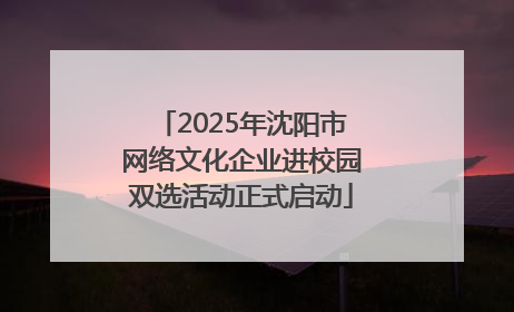 2025年沈阳市网络文化企业进校园双选活动正式启动