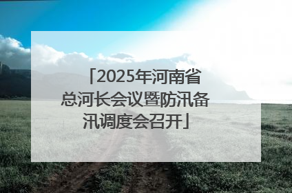 2025年河南省总河长会议暨防汛备汛调度会召开