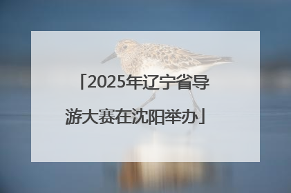2025年辽宁省导游大赛在沈阳举办