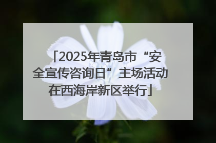 2025年青岛市“安全宣传咨询日”主场活动在西海岸新区举行