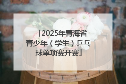 2025年青海省青少年（学生）乒乓球单项赛开赛