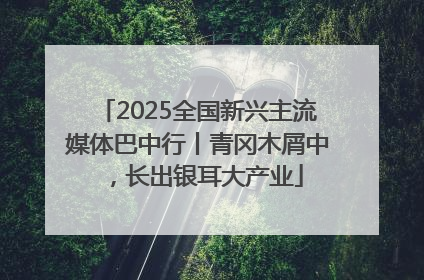 2025全国新兴主流媒体巴中行丨青冈木屑中，长出银耳大产业