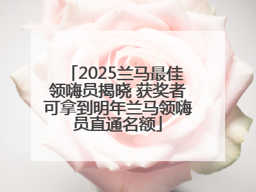 2025兰马最佳领嗨员揭晓 获奖者可拿到明年兰马领嗨员直通名额
