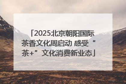 2025北京朝阳国际茶香文化周启动 感受“茶+”文化消费新业态