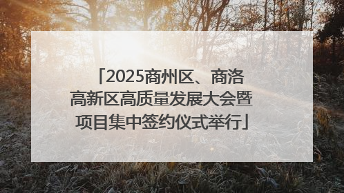 2025商州区、商洛高新区高质量发展大会暨项目集中签约仪式举行
