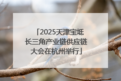 2025天津宝坻长三角产业链供应链大会在杭州举行