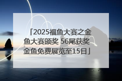 2025福鱼大赛之金鱼大赛颁奖 56尾获奖金鱼免费展览至15日