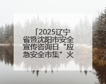 2025辽宁省暨沈阳市安全宣传咨询日“应急安全市集”火爆开市