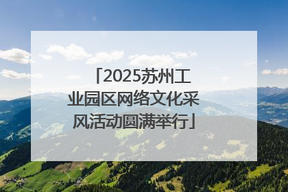 2025苏州工业园区网络文化采风活动圆满举行