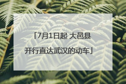 7月1日起 大邑县开行直达武汉的动车