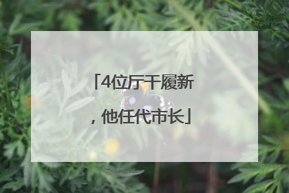 4位厅干履新，他任代市长