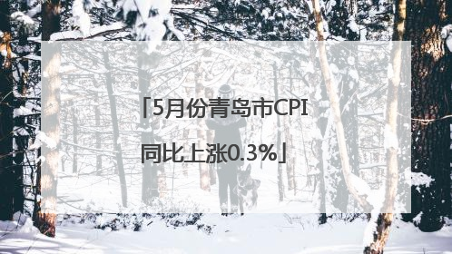 5月份青岛市CPI同比上涨0.3%