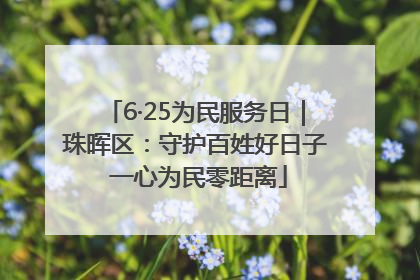 6·25为民服务日｜珠晖区：守护百姓好日子 一心为民零距离