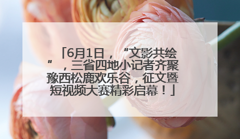 6月1日，“文影共绘”，三省四地小记者齐聚豫西松鹿欢乐谷，征文暨短视频大赛精彩启幕！