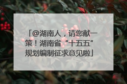 @湖南人，请您献一策！湖南省“十五五”规划编制征求意见啦