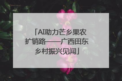 AI助力芒乡果农扩销路——广西田东乡村振兴见闻