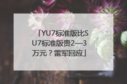 YU7标准版比SU7标准版贵2—3万元？雷军回应