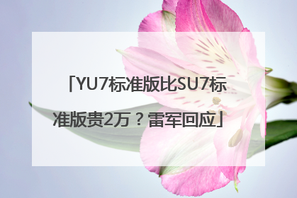 YU7标准版比SU7标准版贵2万？雷军回应